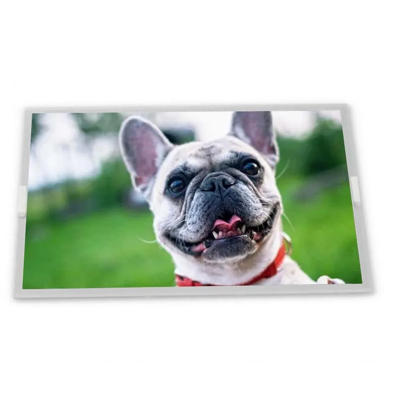 G242CX5R1AC G242CX5R1RC New compatible LCD Display Modules Zhiyan supply