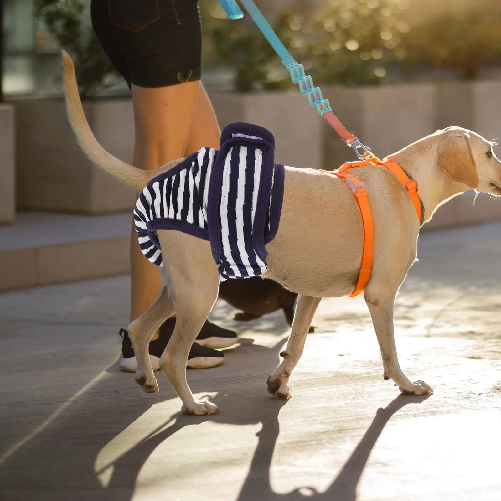 

Pet Physiological Pants Dog Menstrual Underwear Cotton Sanitary Shorts Female Puppy In Heat Incontinence Protection Diaper Pants