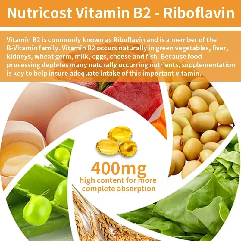 Vitamin B2 - Enhances Immunity, Relieves Fatigue, Promotes Digestion