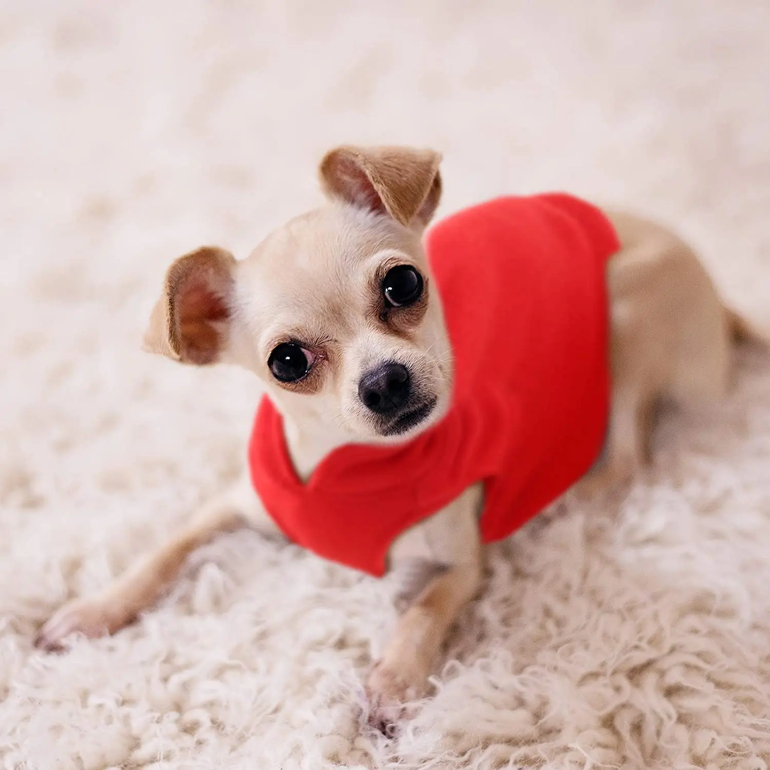 작은 강아지용 부드러운 양털 강아지 옷, 봄 여름 강아지 고양이 조끼, 쉬츠 치와와 의류, 프랑스 불독 재킷, 퍼그 코트