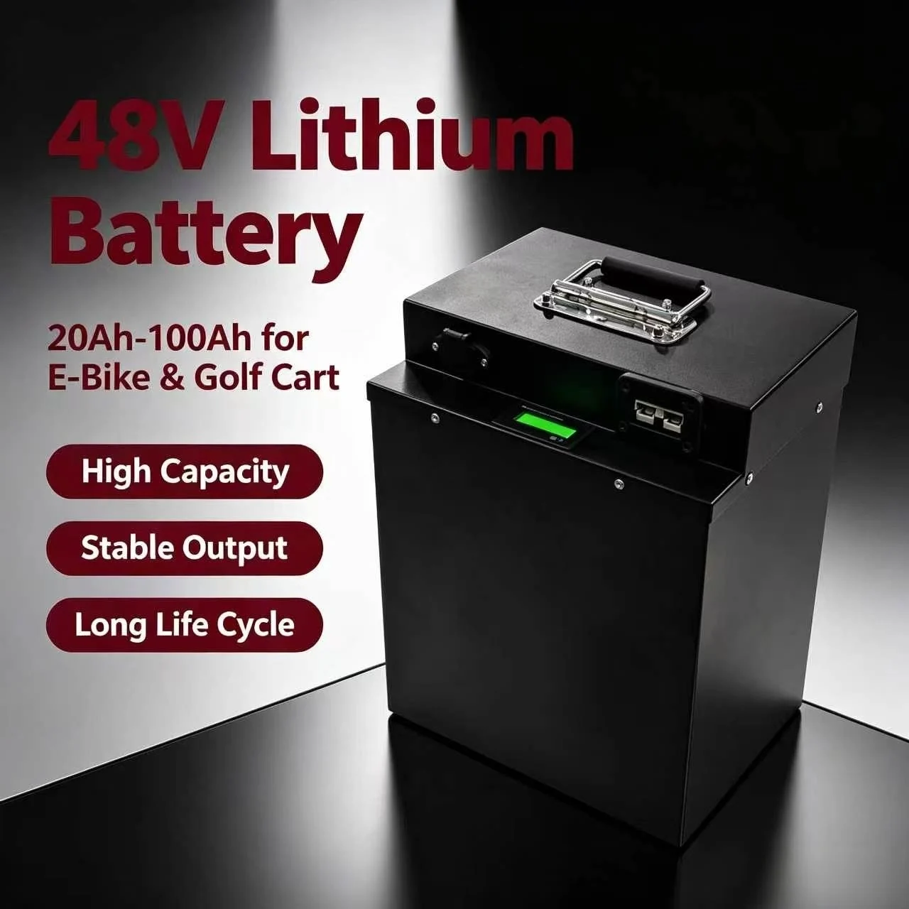 48V 100Ah 80Ah 70Ah 60Ah 50Ah 40Ah 30Ah 20Ah Lithium Ion Battery for Elektrofahrrä de vélo électrique de bicicleta Golf cart
