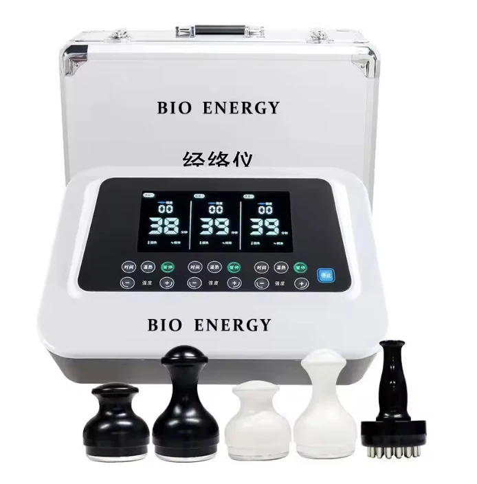 Vitality Value BIO Meridian Health Device Meridian Clearing Evergreen Therapy Microcurrent Pulse Device