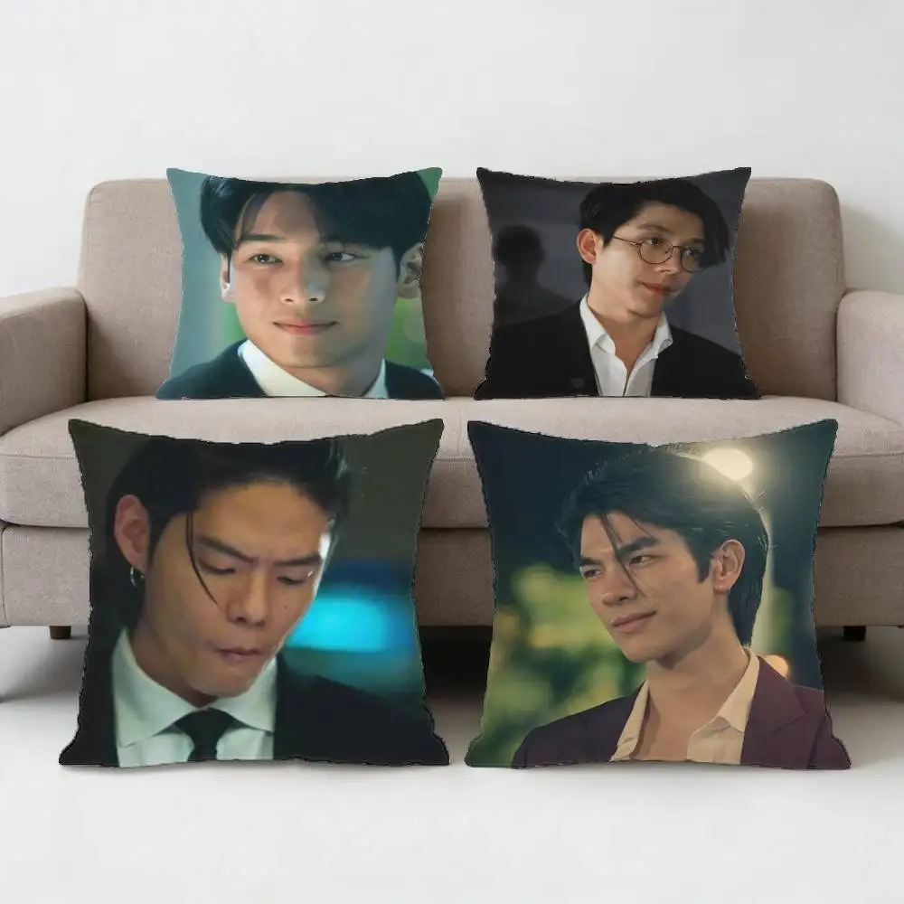 

K-KinnPorsche Чехол для подушки серии S, противоклещевой, с невидимой молнией, из шелковистого короткого плюша, для диванной подушки