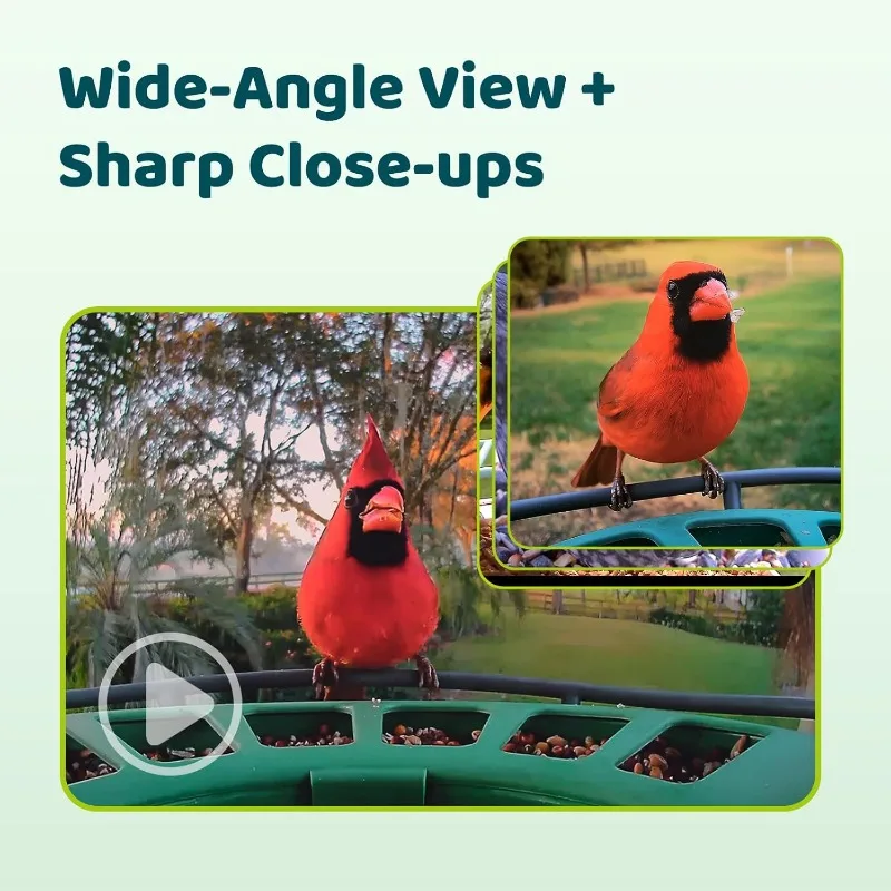Smart Bird Feeder with Camera, Dual-Lens, Solar-Powered, Wireless Birdwatching