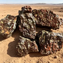 Natural Strange Surface Dragon Scale Squama Breccia Gobi Gangou from Lop Nor Collection Crystals Suspected Meteorite Home Decor