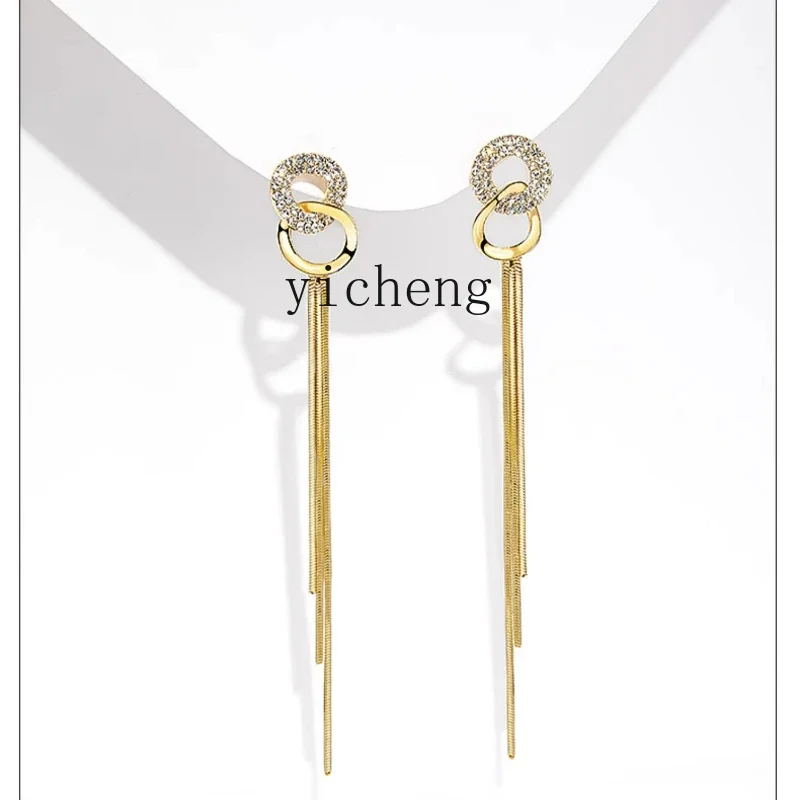 

XL long earline earrings earrings women's long fringed earrings light luxury sterling silver unique