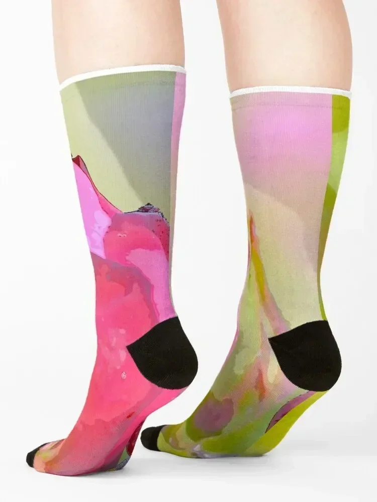 Spring Rose Socks funny gifts compression floral gift Ladies Socks Men's