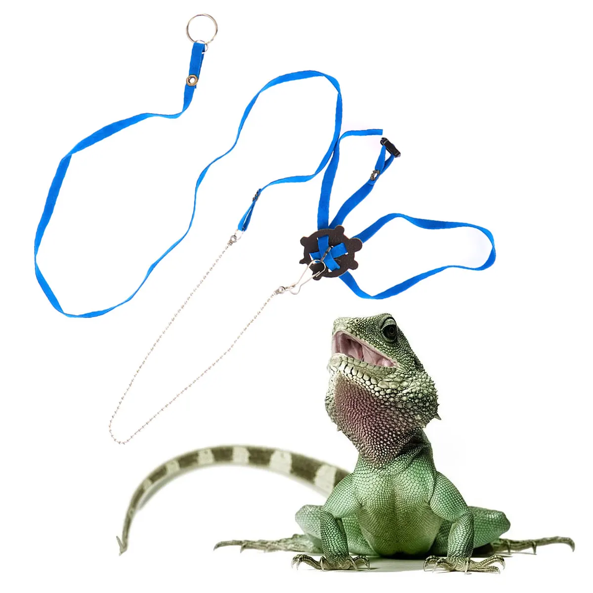 

Reptile Leash Pet Harness Pet Training Leash Reptile Training Leash Pet Supplies
