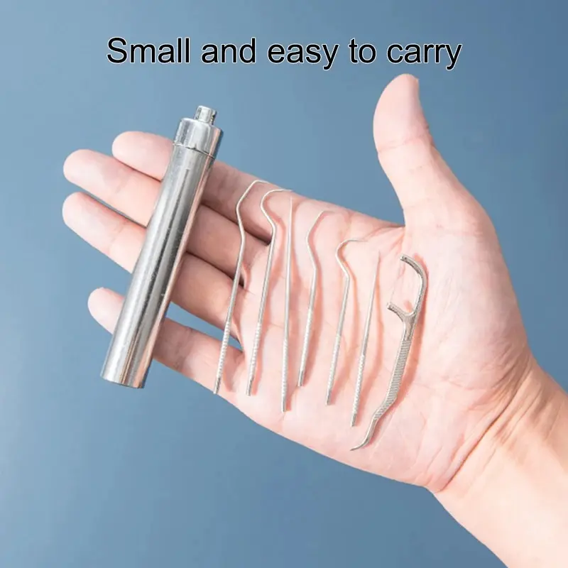 10 x 7 Pcs/Set Stainless Steel Toothpick Set Portable Toothpick Holder Care Metal Dental Cleaning Tools