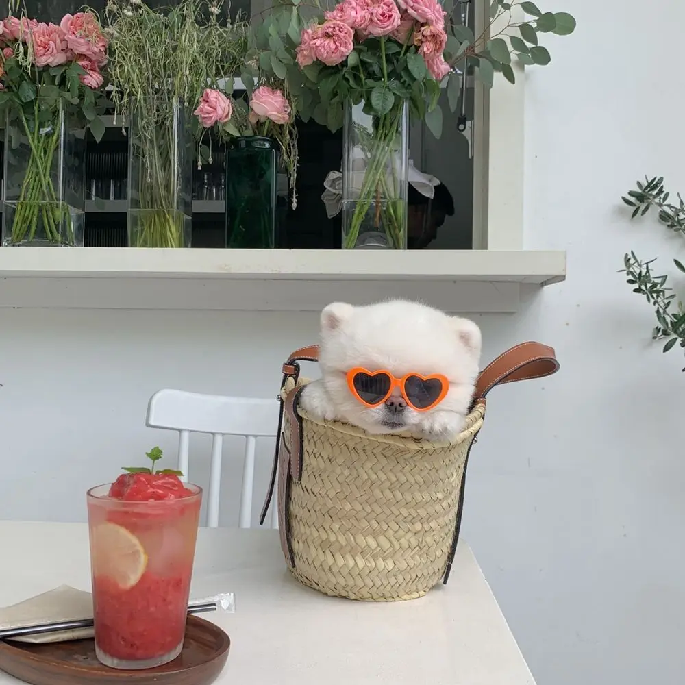 Plastic Cute Pet Accessoires Pet Glasses Photos Props Pet Products Cat Glasses Cat  Eye-Wear Cat Sunglasses Pets Party Decor