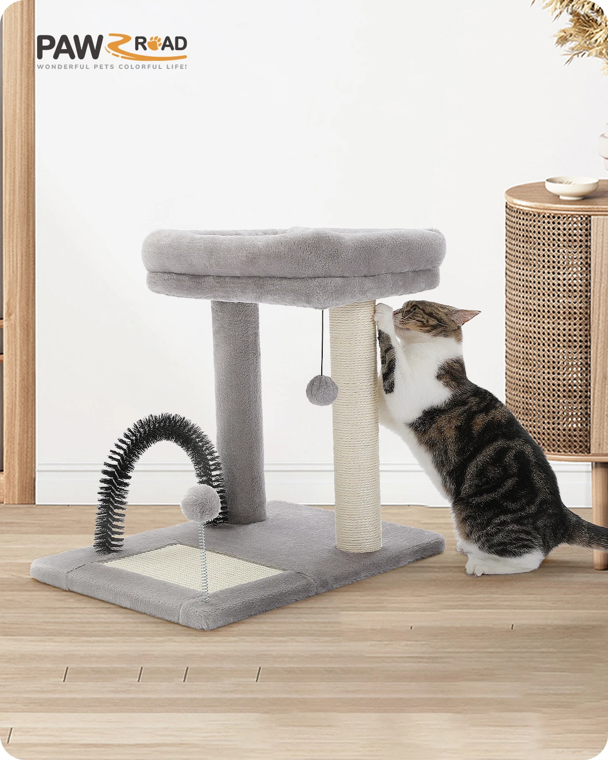 H50CM Small Cat Tree with Natural Sisal-Covered Scratching Post for Indoor Large Perch Self Grooming Brush Scratching Board ball