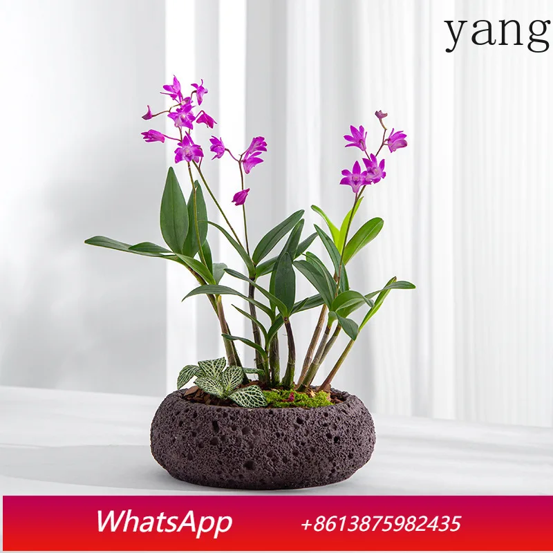 

Керамический цветочный горшок в китайском стиле LH, имитация натурального цветочного горшка, для офиса и дома.