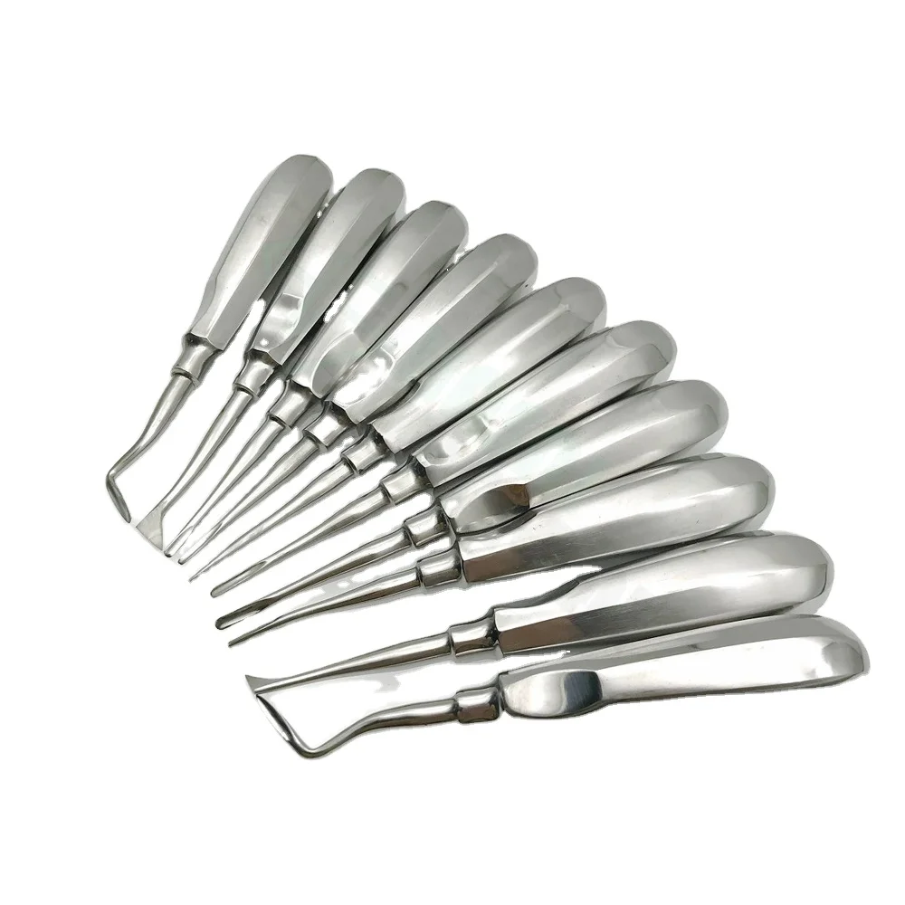 

Fine Quality New 10Pcs Stainless Steel Dental Elevator Oral Tooth Loosening Root Extraction Kit
