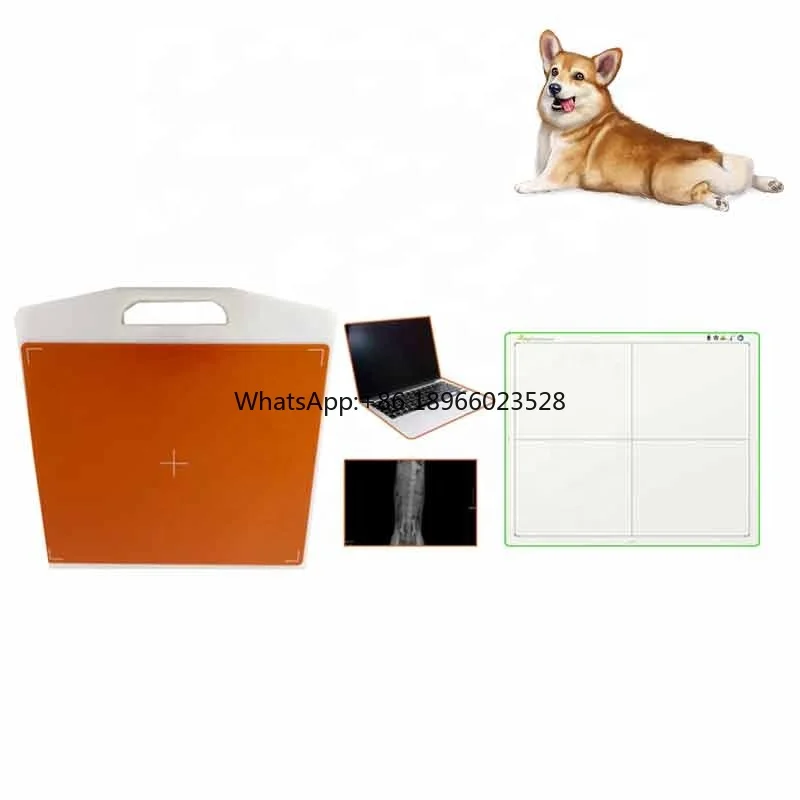 

Protective case for flat panel detector of veterinary X-ray machine