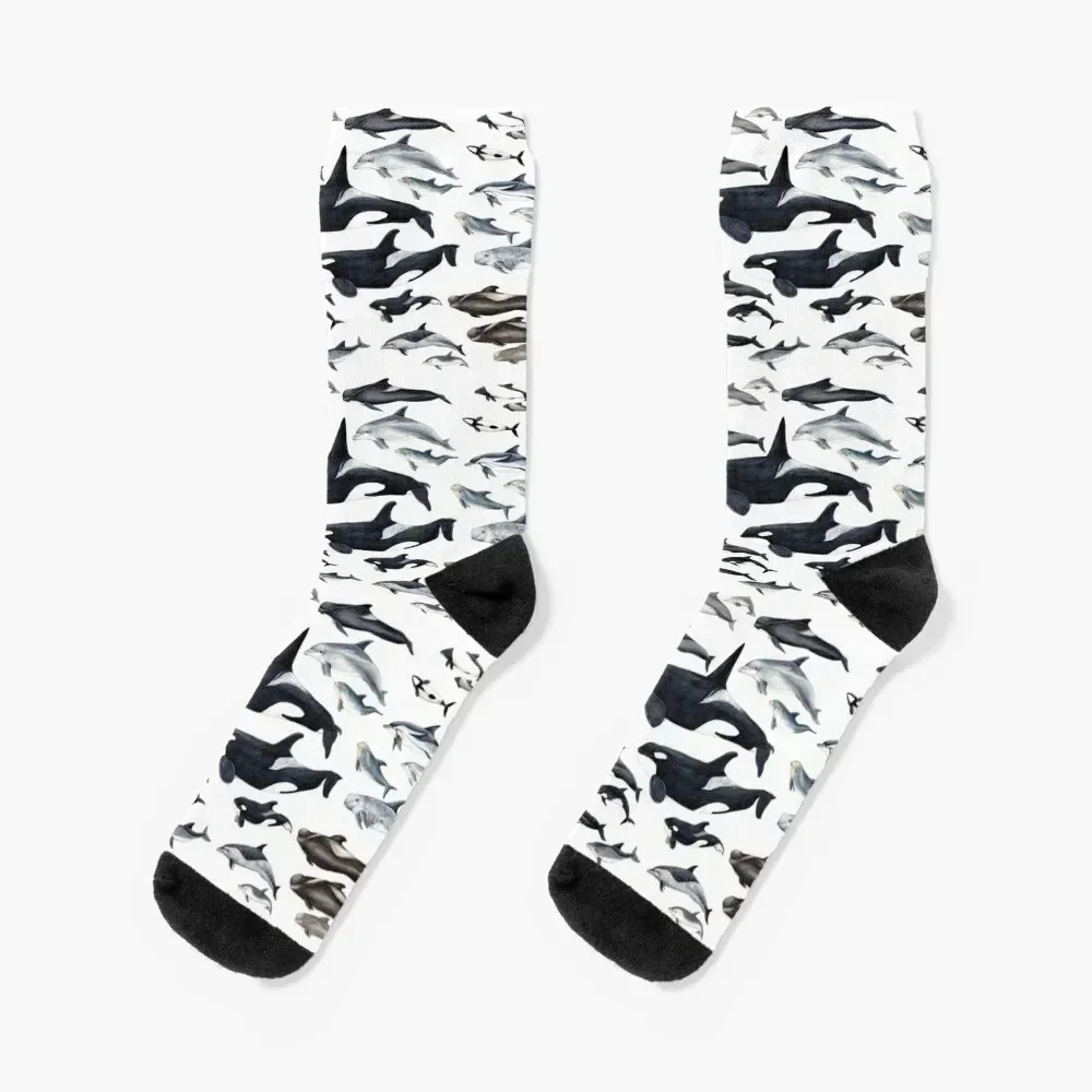 Dolphin diversity Socks Toe sports Stockings heated Non-slip Men Socks Luxury Brand Women's