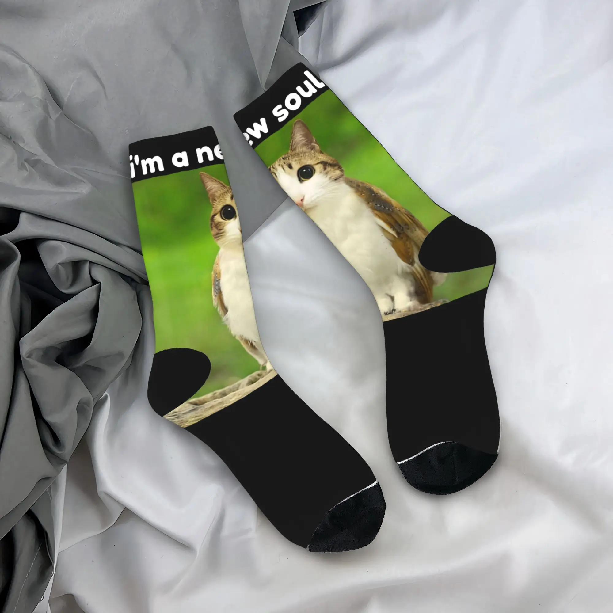 

Мужские носки Meowl Brainrot с забавными мемами кошек и сов, прикольные носки с мемами, зимние повседневные носки, антибактериальные носки для скейтбординга