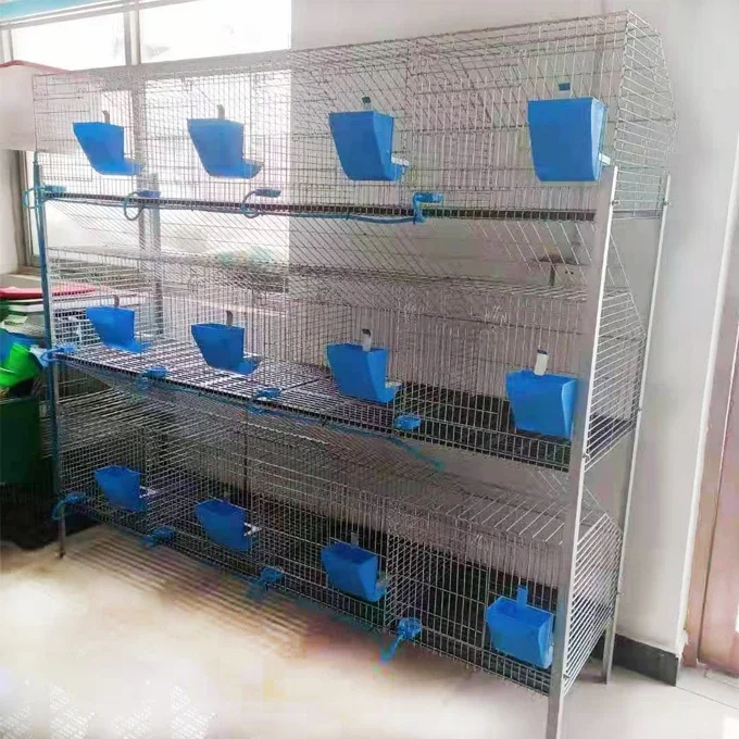 

Hot sales24 cells Rabbit farming cage in Kenya farm H type wire mesh commercial rabbit cage for sale