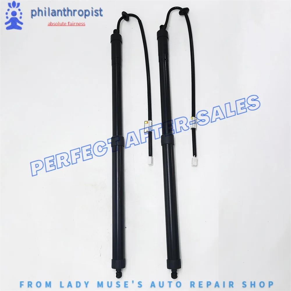 

2XPower Hatch Lift Support For Lexus RX 3.5L V6 2016-2019 6892048031 6891048071