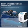 Machine d'inhalation d'hydrogène, 1500ML, 3000ML, 4500ML, générateurs d'inhalateur d'hydrogène, dispositif d'inhalation d'hydrogène PEM Tech 5