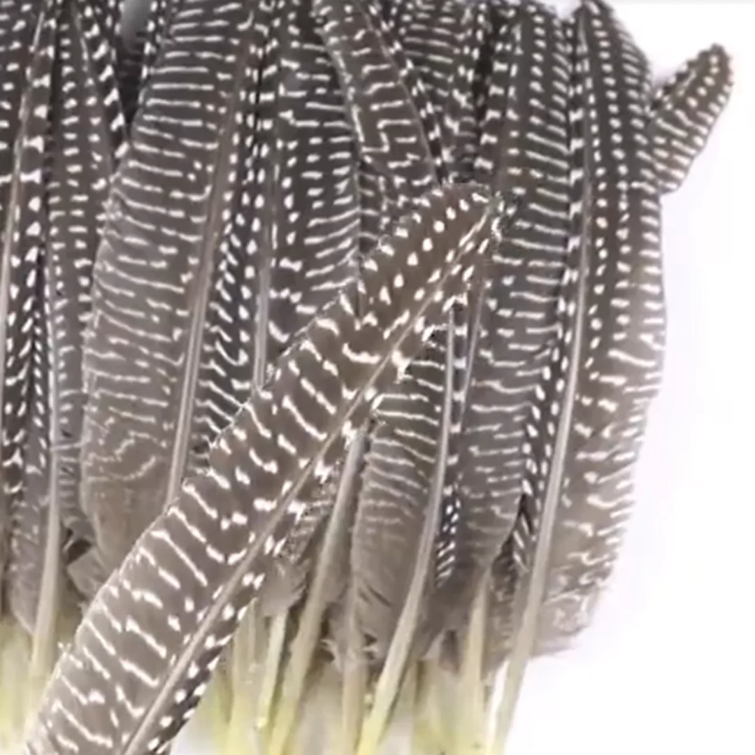 10Pcs Natural Spott…