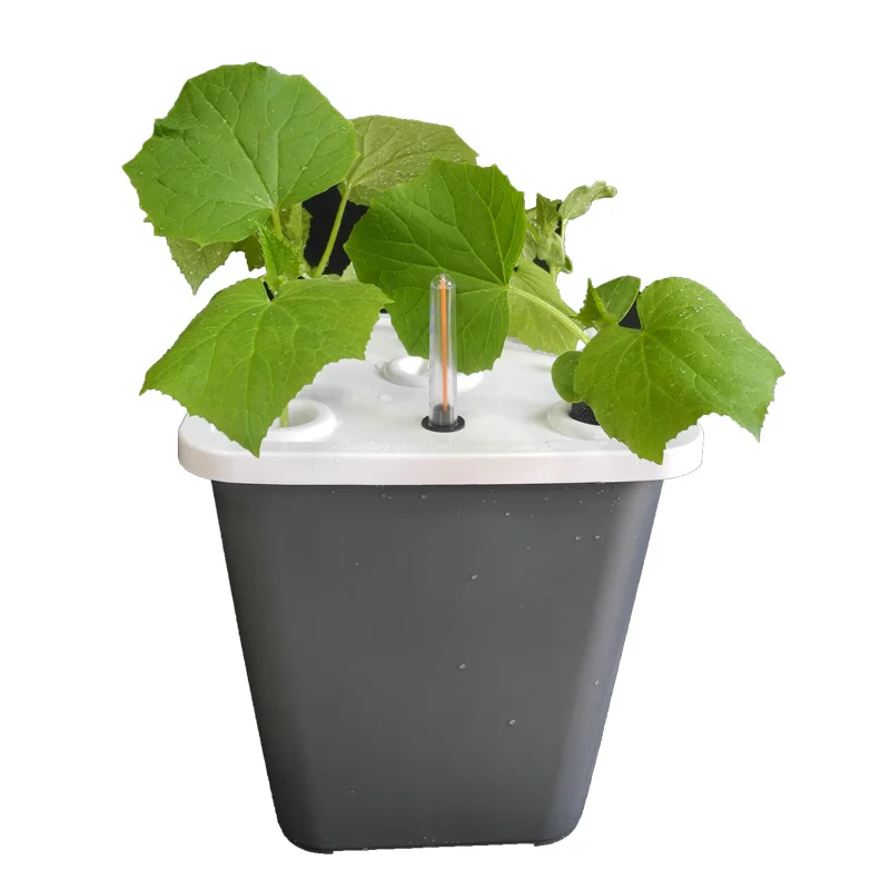 DIY Balcony Vegetable Hydroponic Bucket Cucumber Tomato Plant Growth Hydroponic System Home Soilless Cultivation Equipment