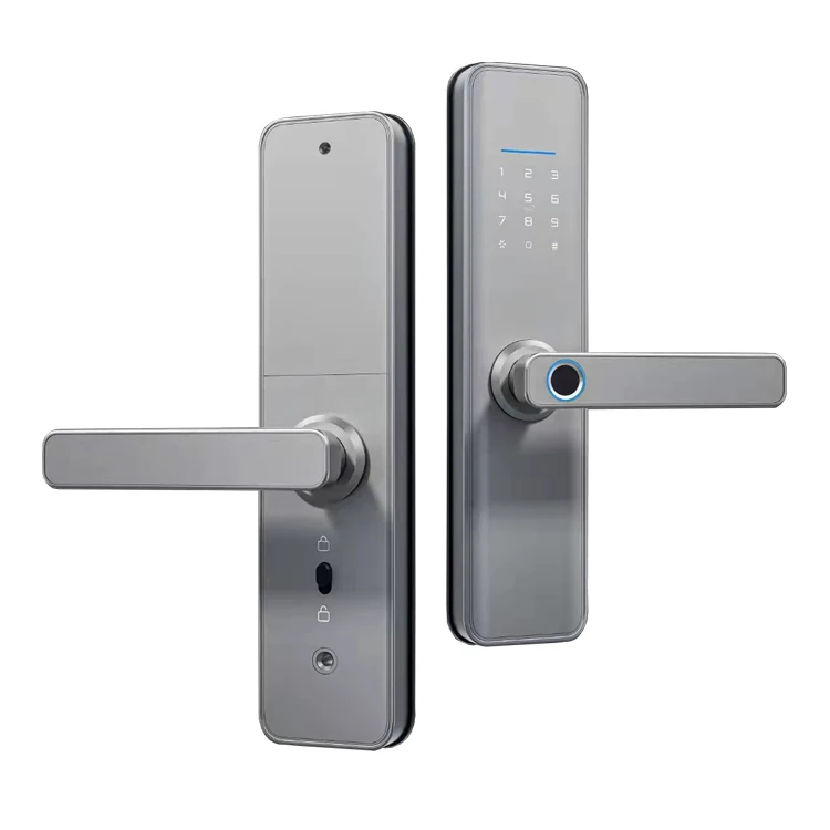 TTlock Smart Wifi/Zigbee Locks Card Electronic Remote Smart Door Lock with Home Automation