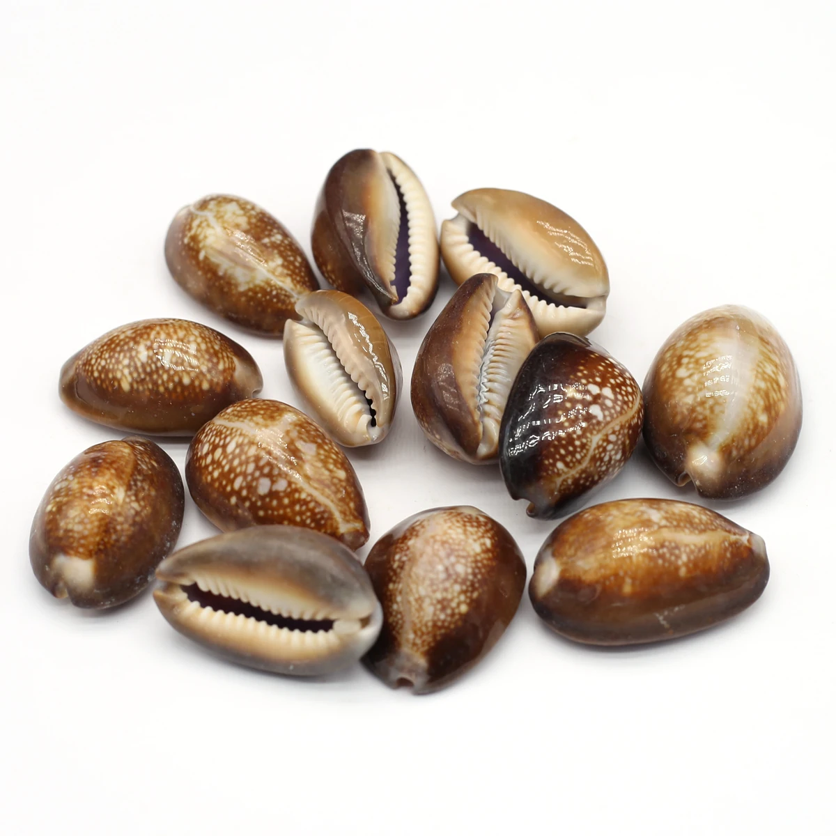 100G DIY Beads Brown SnailBead Without Hole Bathtub Landscaping For Jewelry Making DIY Clothes Accessory