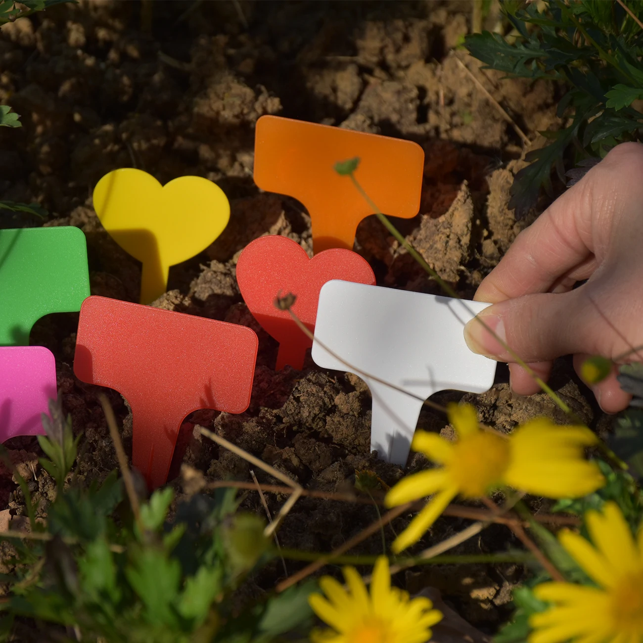 30PCS T-Shape Plastic Waterproof Plant Tags Marker Sign 59*98mm Flower Seedling Colorful Potted Bonsai Succulent Garden Label
