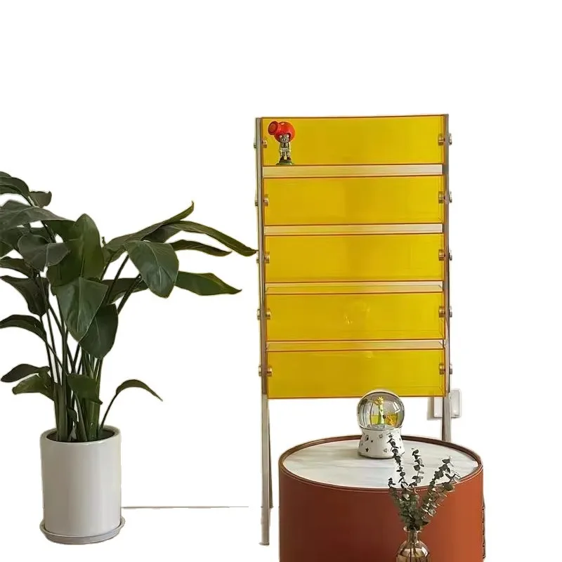 Acrylic Shelf Ornament Storage Rack Dopamine Figure Living Room Display Cabinet