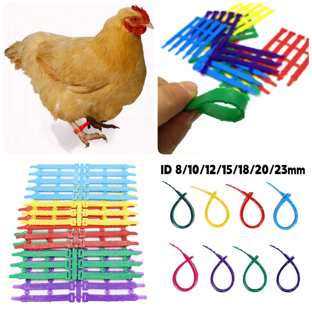 50Pcs Adjustable Plastic Chicken Foot Rings Inner Diameter 8/10/12/15/18/20/23mm Hen Duck Goose Swan Soft Identification Labels