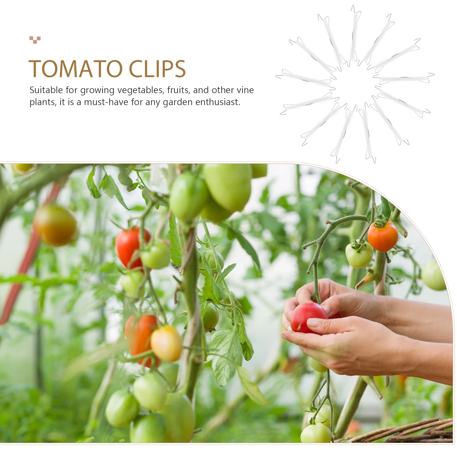 

1 set Plant Climbing Hooks Tomato Support Garden Supplies Steel Vine Tie Tools Outdoor Care Kit Greenhouse Vegetable Fruit Hook