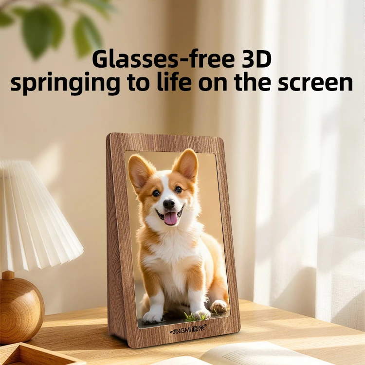 3D Digital Photo Frame 10.1