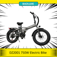 BAOLUJIE DZ2001 Folding Electric Bike, 48V 12Ah Battery 500W Motor 20*4.0inch Fat Tires, 45km/h Max Speed 30-40km Range LCD