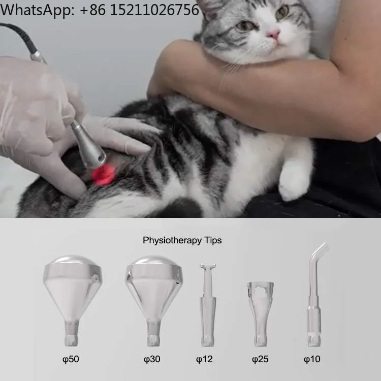 VT101 Portable Steel Electric Diode- 980nm 15W/30W Endoscope ENT Veterinary Use CE Certified