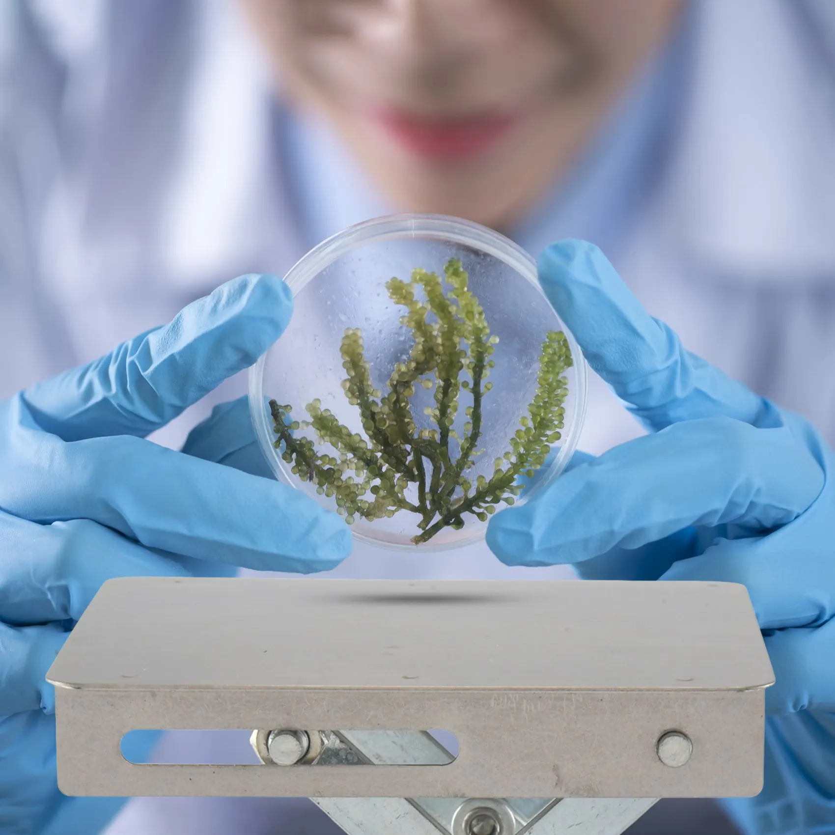 A22I Scientific Lab Jack-100 x 100 mm roestvrijstalen laboratoriumstandaard tafelrek schaar laboratoriumlift lifter voor wetenschappelijk experiment