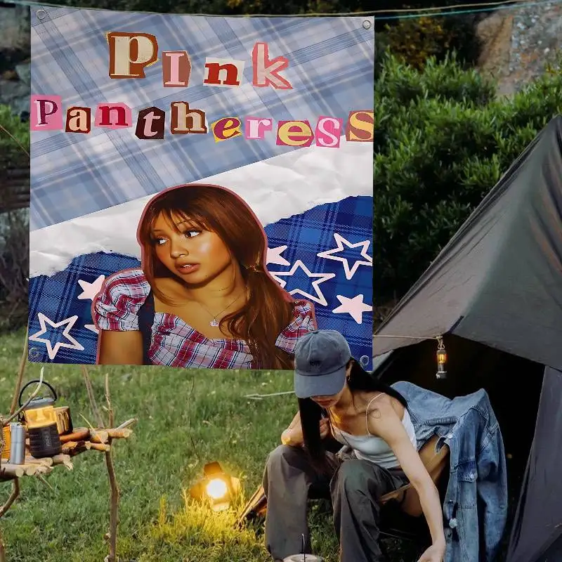 Singer P-PinkPantheress Family Gatherings Outdoor Atmosphere Flags Camping Decorations Banners