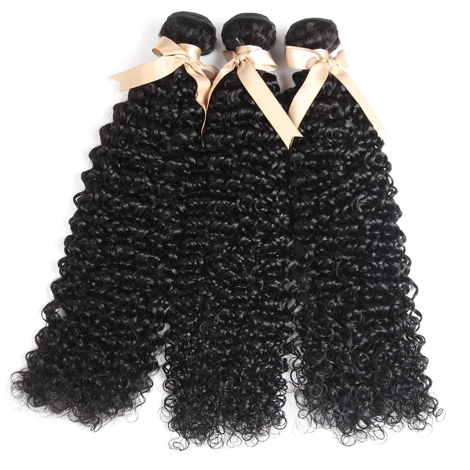 Black Pearl Water Wave Human Hair Bundles Afro Kinky Bulk Human Hair Unprocessed Virgin Hair Bundles for Women Natural Black