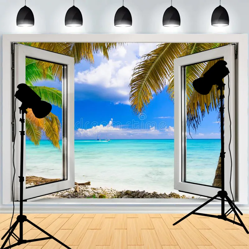 Window Frame Sheer Curtain Sunlight Streaks Photography Backgroundcloth Shadow Spots Ambient Light Photo Studio Backdrops BV-05