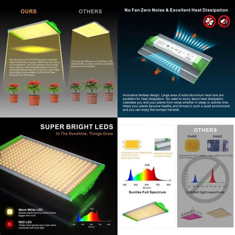 Supply Hydroponics 24*24*48 Inch Grow Tent Kit 100w Led Grow Light With 4 Inch Carbon Air Filter Grow TentHot Sales