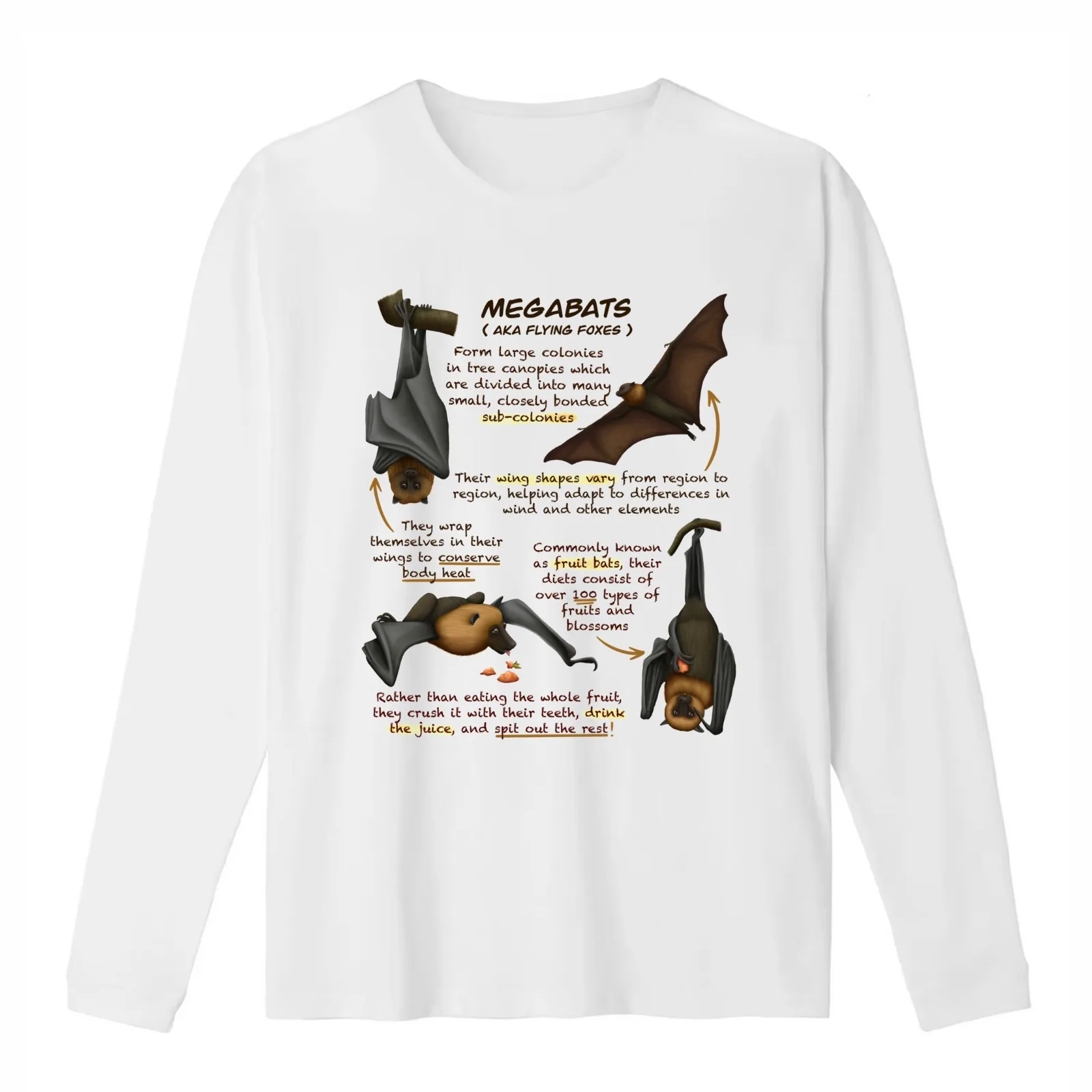 Megabat Fun Animal Fruit Bat Facts T-Shirt Summer Casual Cotton Tee Oversized Streetwear Tops Vintage Graphic Print