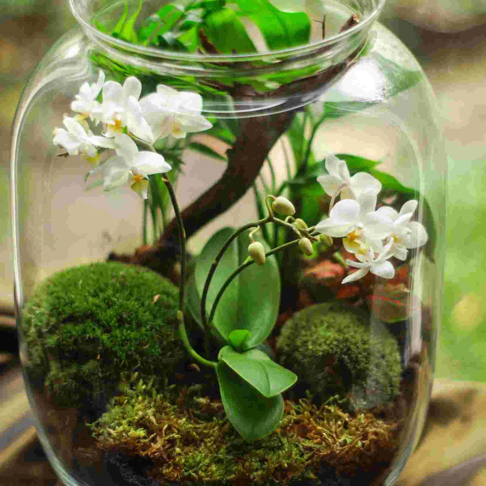 Small Faux Plant Artificial Plants Garden Mini House Decoration Fish Tank Toy Miniature Ornament