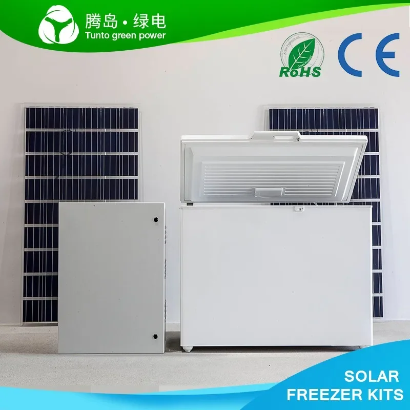 Fácil instalan el refrigerador del congelador del refrigerador del hogar de la energía solar de DC 12V 24V 166L