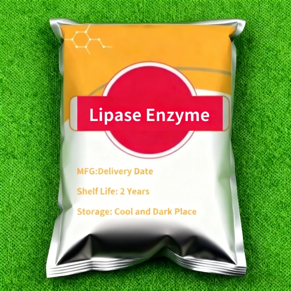 20 gramas-1kg Enzima Lipase 100.000 Atividade de Enzima