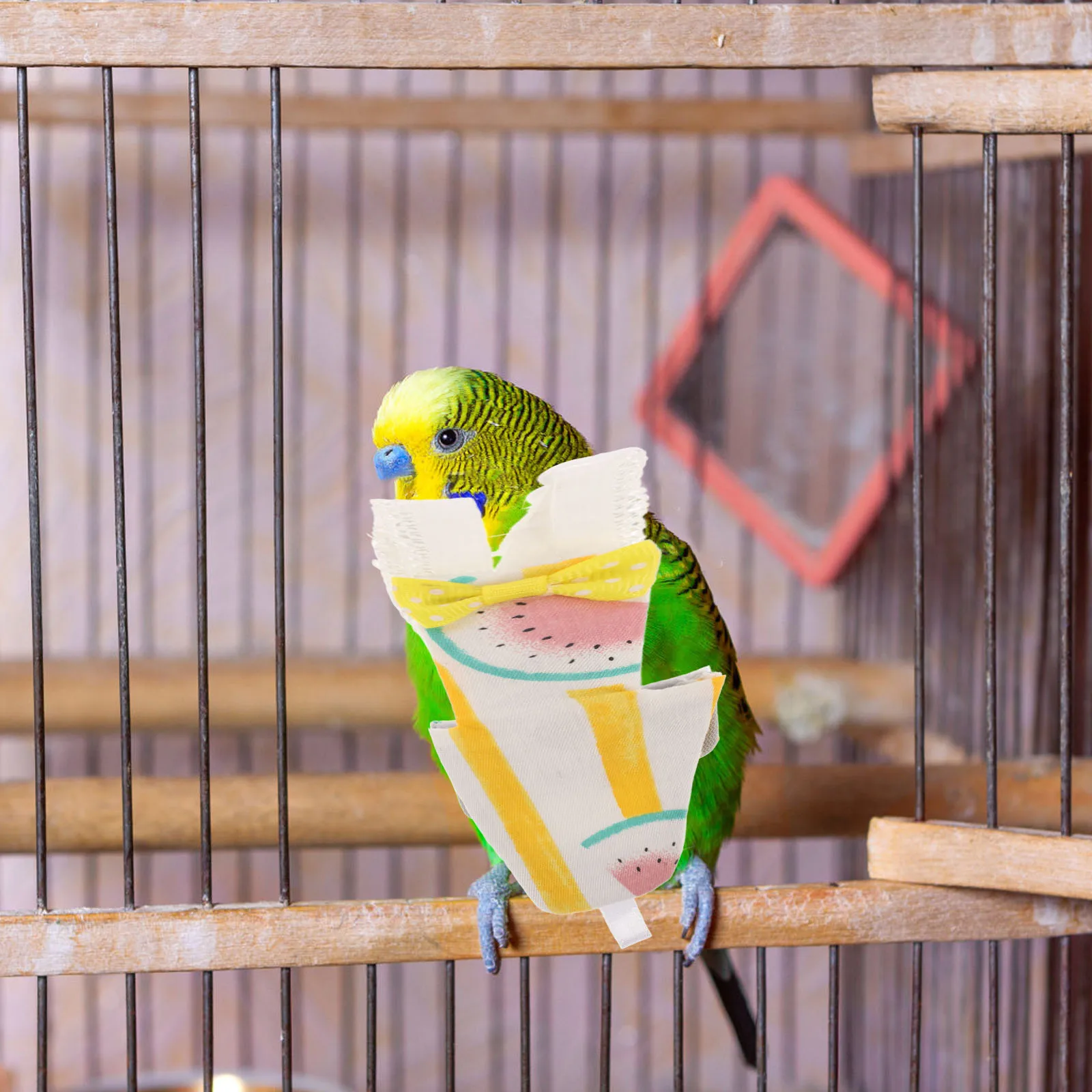 

Pet Bird Diapers Parrot Nappy Small Parakeet Clothes Protective Washable Clothing Accessories Costume Pants Bright Color Cotton