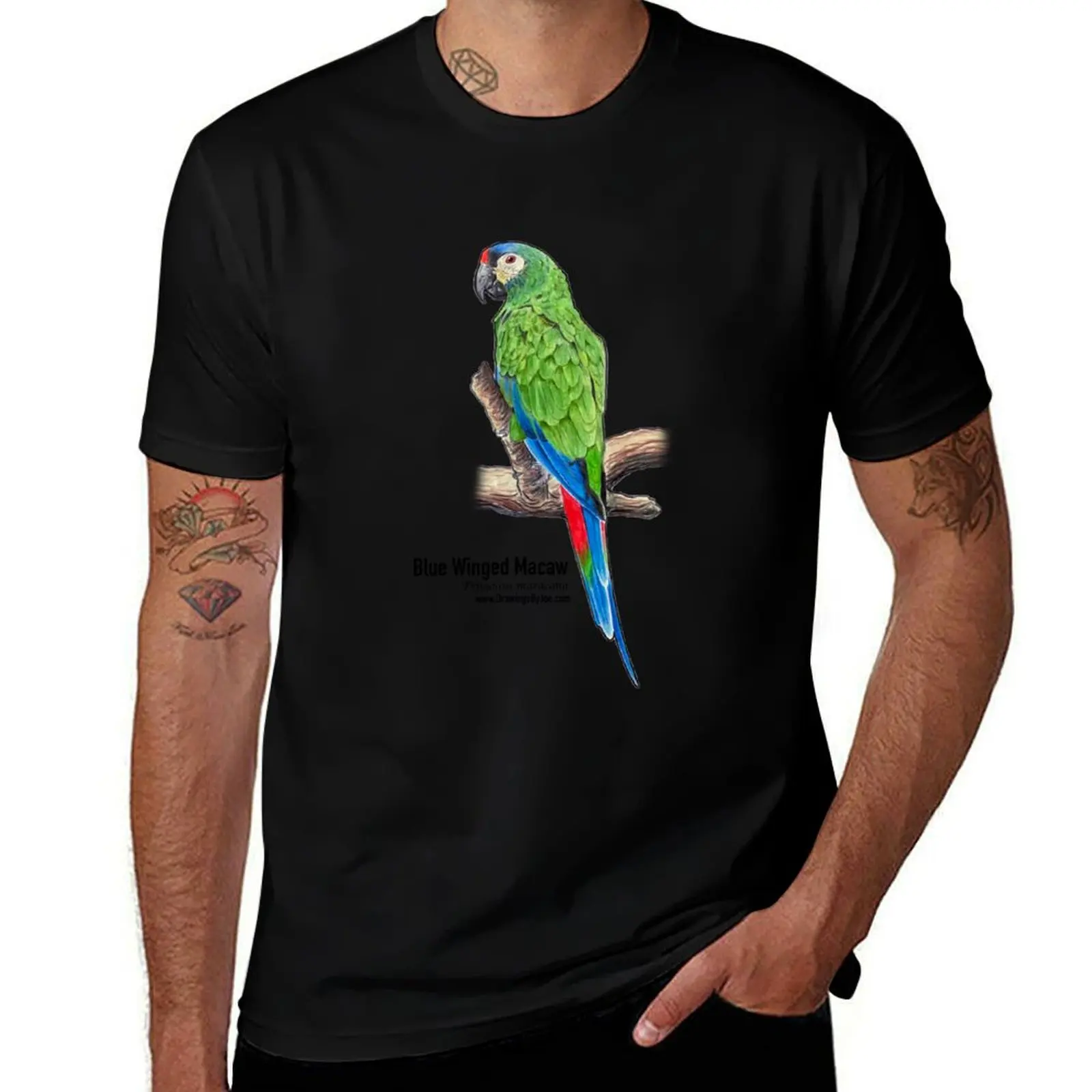 Blue Winged Macaw T-Shirt Large Size Basic Casual T-Shirt