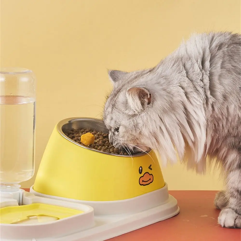 15 Degree Tilted Cat Bowl Stainless Steel Fall-resistant Pet Supplies Protect The Cervical Spine Durable Food Feeding Bowls