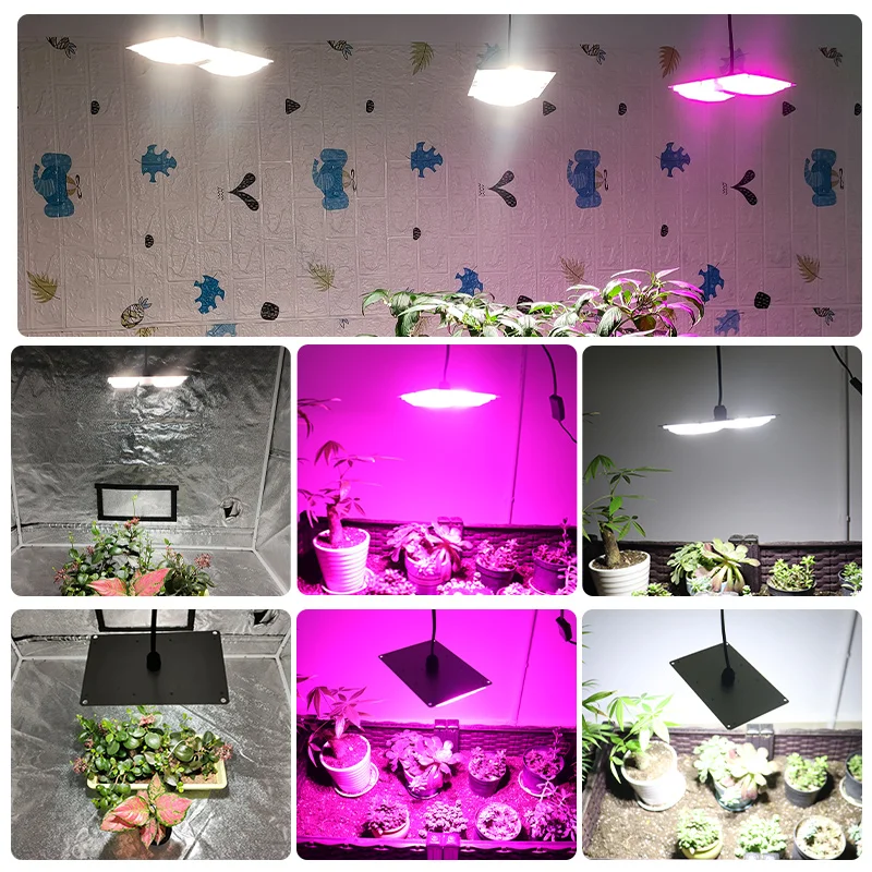 Luz LED de espectro completo para cultivo de plantas, luces con interruptor de Control, tablero de lente para reflector, semillas de flores, tienda