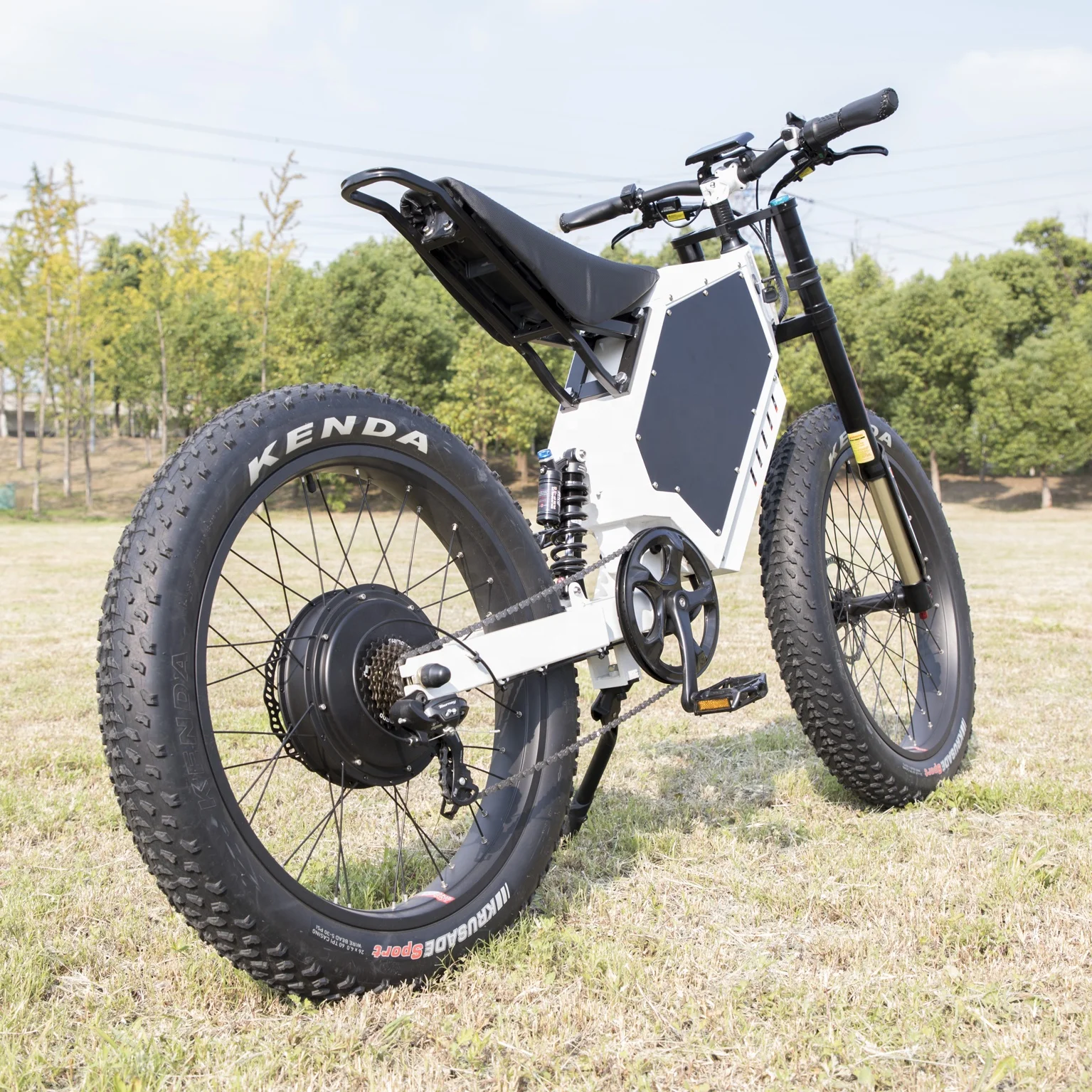 Mountain Bike Electric Cargo Bike Electric Bike 3000w Ebike High Power Electric Hyrid Ebike