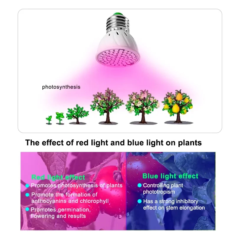 LED Grow Light E27 Full Spectrum Phyto Plant Growth Lamp Hydroponics 48/60/80/126/200/300Led For Greenhouse Grow Tent Lighting