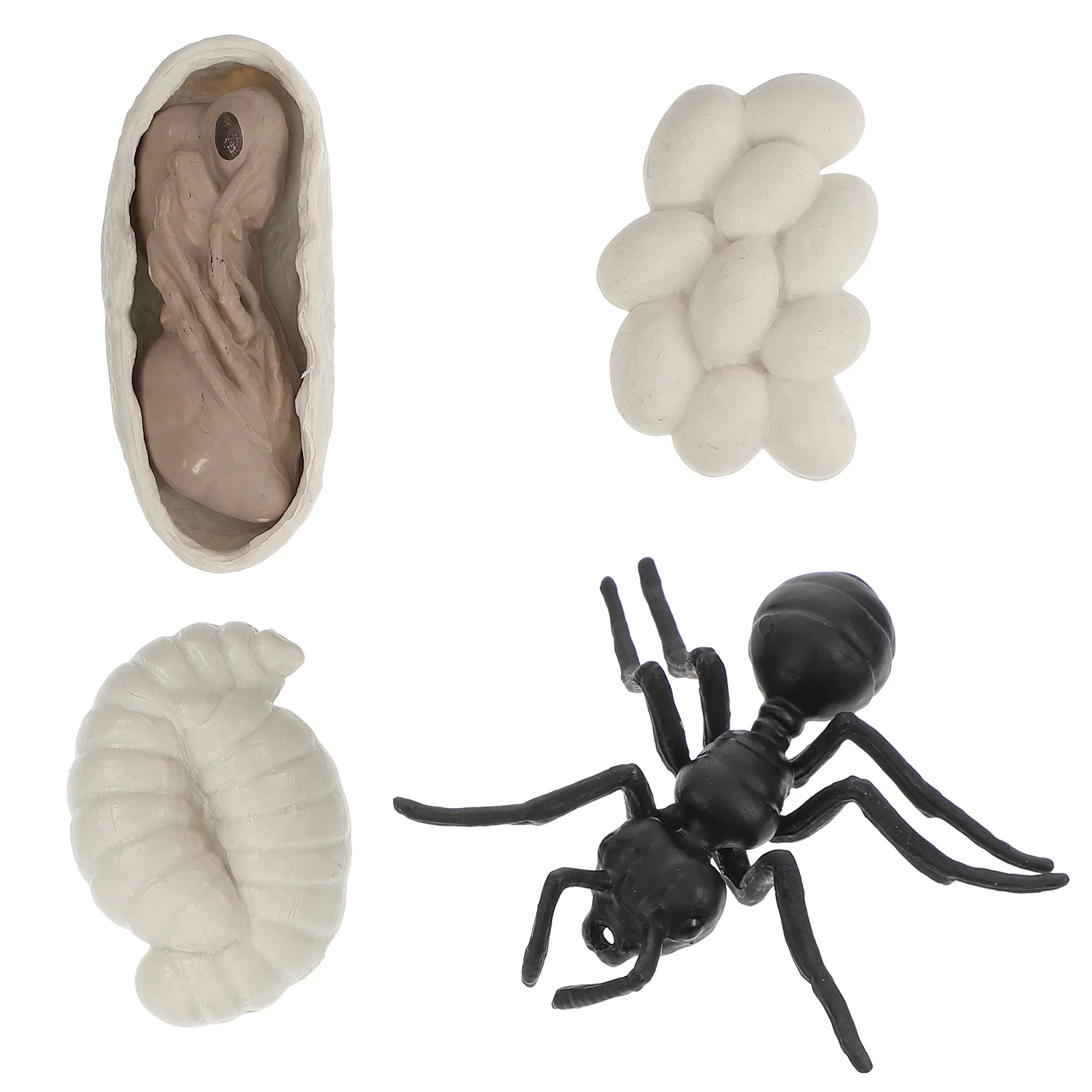 

Worker Ant Growth Cycle Toys Plastic Ants Insect Sea ​​ for Kids Classroom Decor